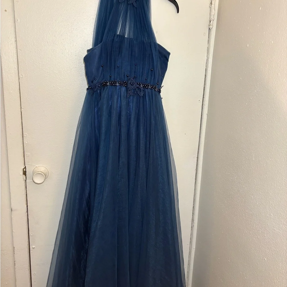 Gorgeous Jeweled Evening Gown Dress - Picture 14 of 16